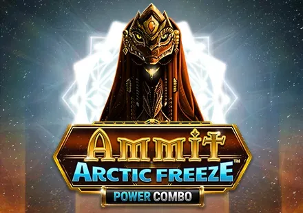 Ammit Arctic Freeze™ Power Combo game cover